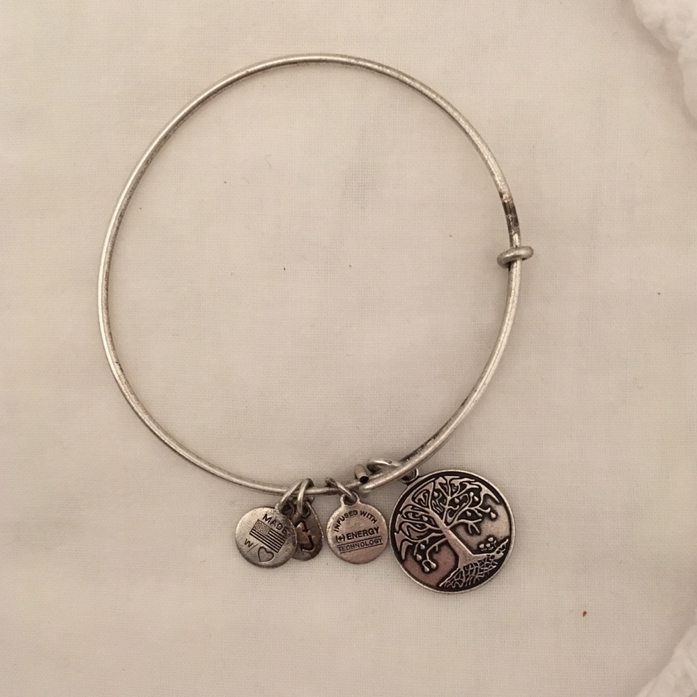 Alex and Ani Tree of Life bracelet 🌳